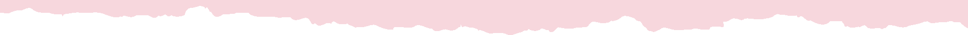 Footer Rowbckgd-Bottom - Pink.png