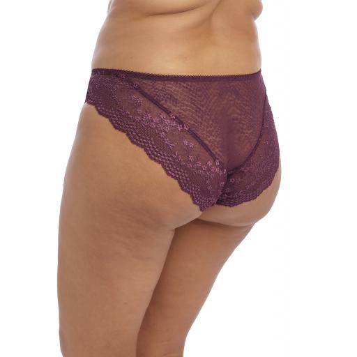 Elomi Lucy Brazilian side view.jpg