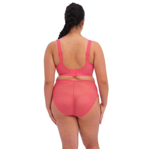 Elomi Charley Honeysuckle rear view with normal straps.jpg