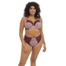 Elomi Lucie Plunge Bra with briefs.jpg