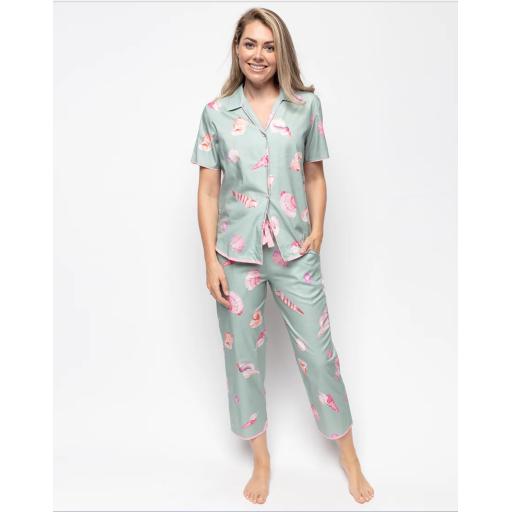 Cyberjammies Coral Crop pj 5.png